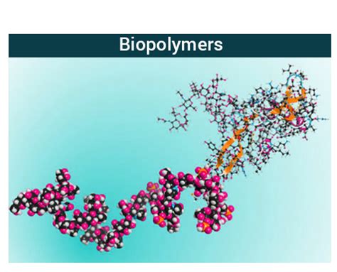 Xylan: En djupdykning i en naturlig biopolymer för avancerad fiberproduktion!