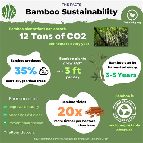  Bamboo Fiber: Att Förvandla en Grönskande Växt till Hållbara Industriella Material!