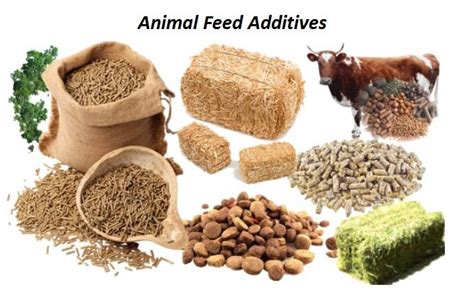  Barley Extract: Optimizing Bioethanol Production and Enhancing Animal Feed Additives!