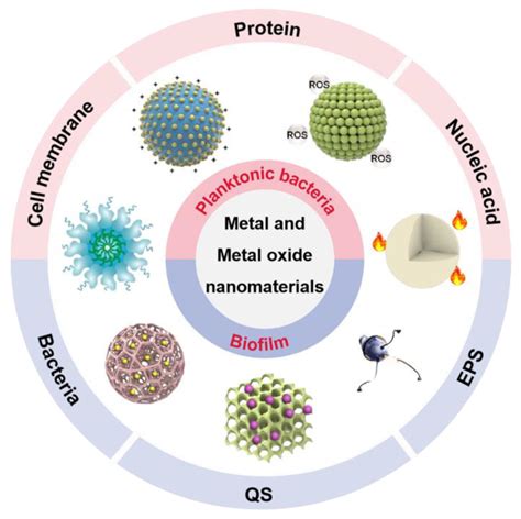  Erbiumoxid – En Nanomaterial för Lysande Framtid i Fotonik och Lasersystem!