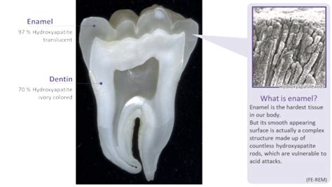  Hydroxyapatite: En revolutionerande komponent för benreparation och tandvård!