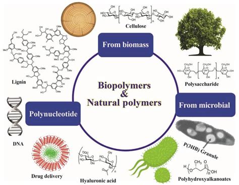 Jenapharm! Revolutionizing Drug Delivery Through Biodegradable Polymers