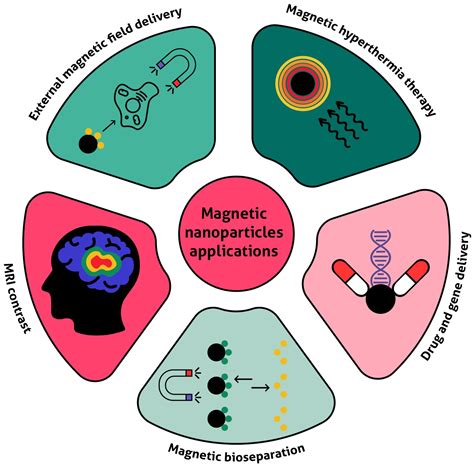 Magnetit - Nanopartiklar för Revolutionerande Katalys och Biomedicinsk Bildbehandling!